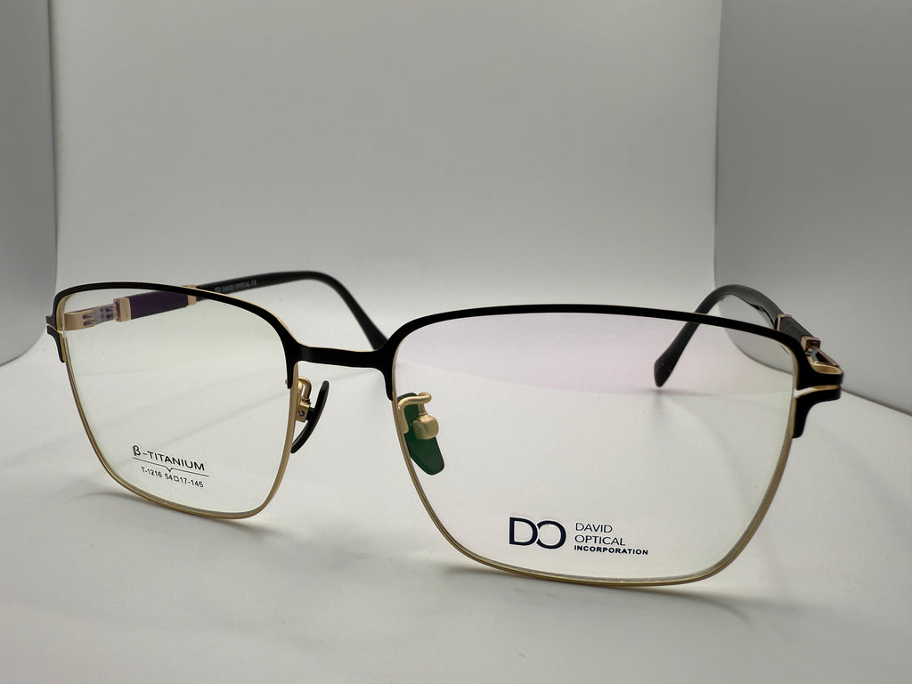 T1216 Business style; B titanium temples