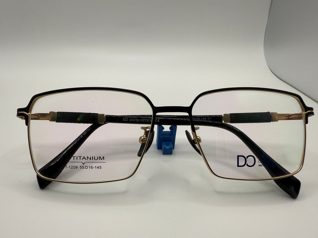 T1209 Business style; B titanium temples